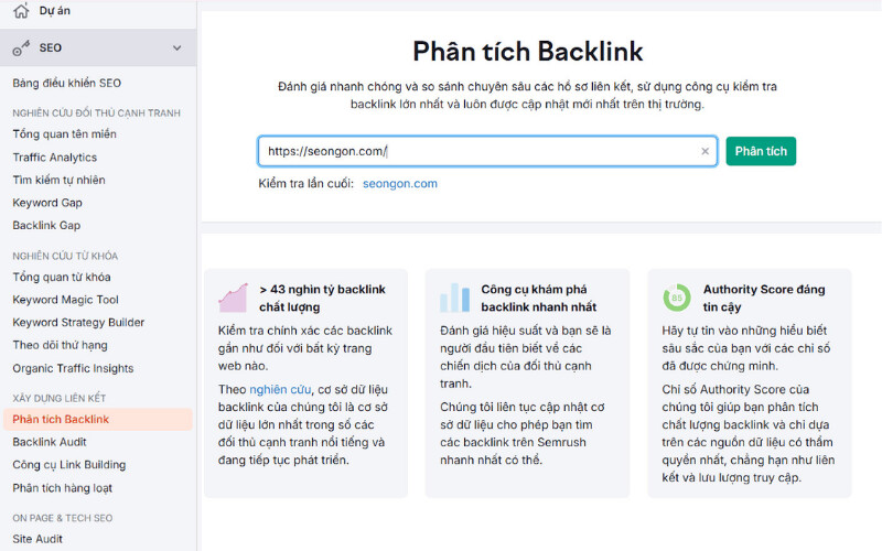 Tại ô tìm kiếm, hãy nhập domain mà bạn muốn kiểm tra