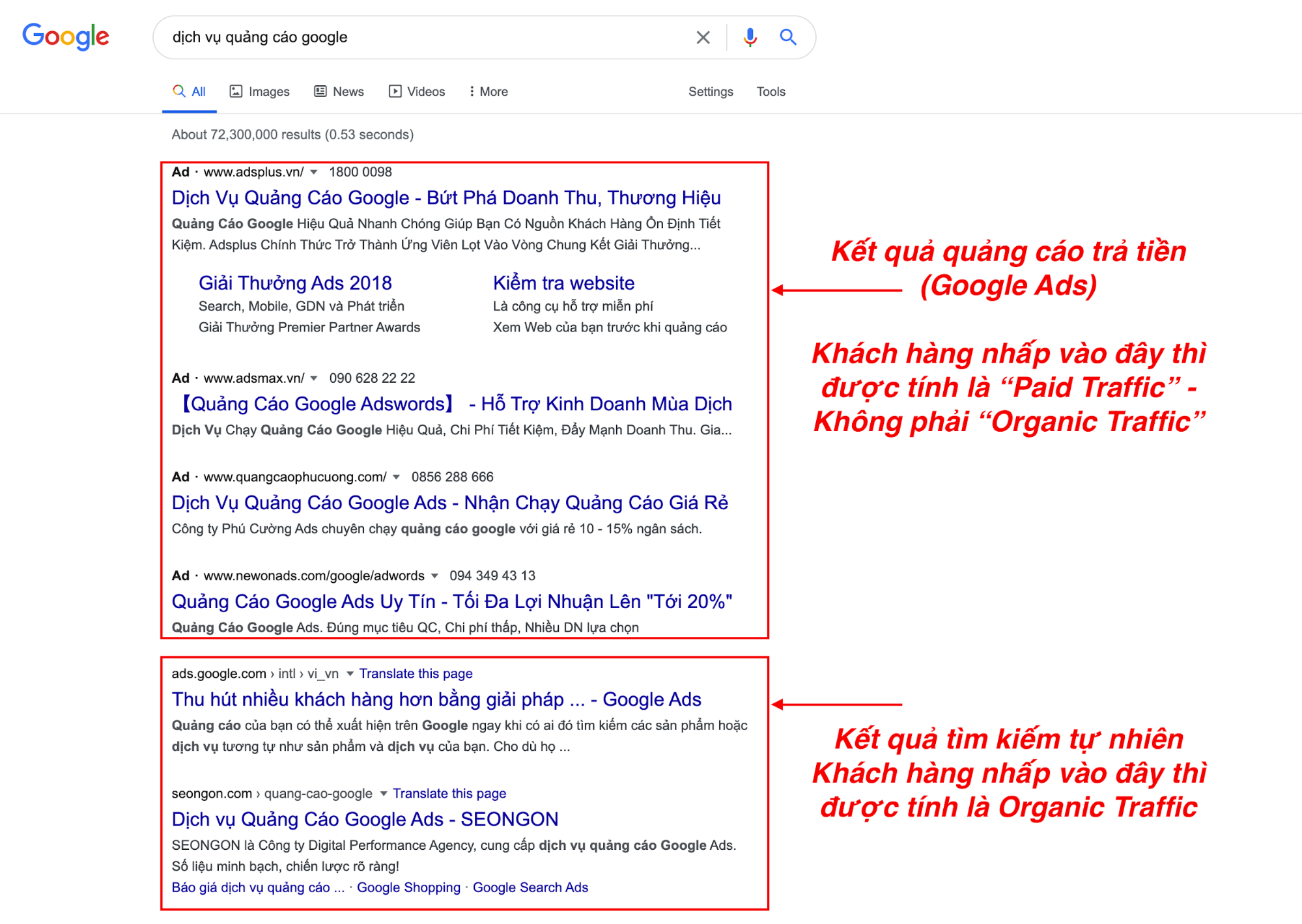 ví dụ về organic traffic