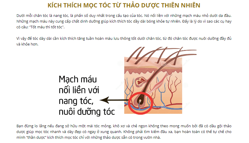 kích thích mọc tóc tự nhiên