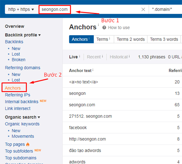 Kiểm tra mật độ anchor text trên Ahrefs
