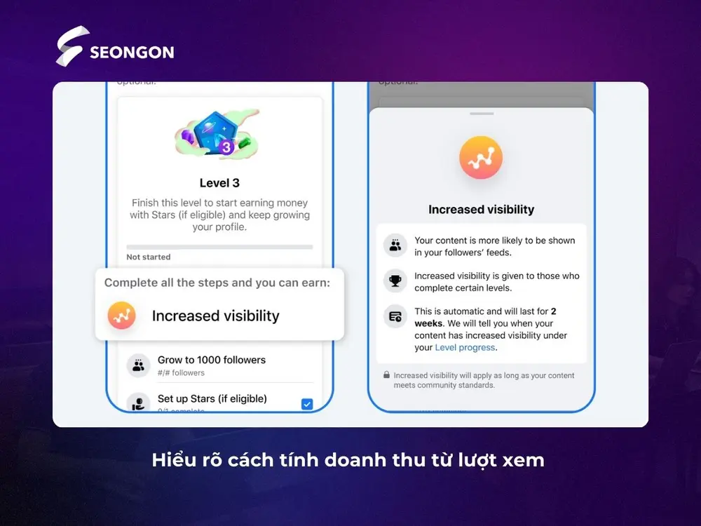 Những video có chứa nhạc bản quyền hoặc chạy quảng cáo không được trả tiền