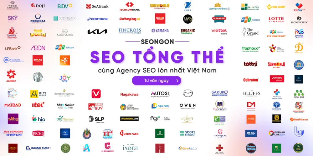 Seo tổng thể - seongon