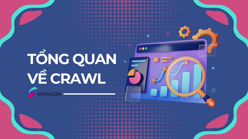 Tổng quan về Crawl 