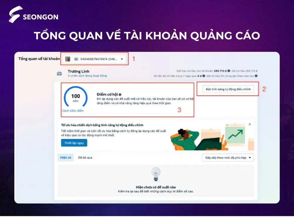 Tổng quan về tài khoản quảng cáo thể hiện ID, tính năng tự điều chỉnh và điểm cơ hội
