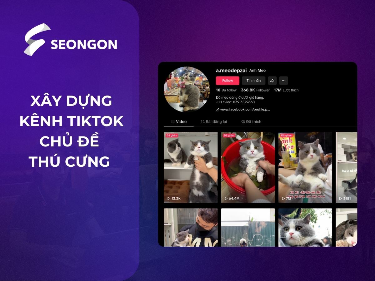 Xây dựng kênh TikTok với chủ đề về thú cưng