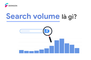 Search volume là gì? 7 công cụ kiểm tra search volume chính xác nhất