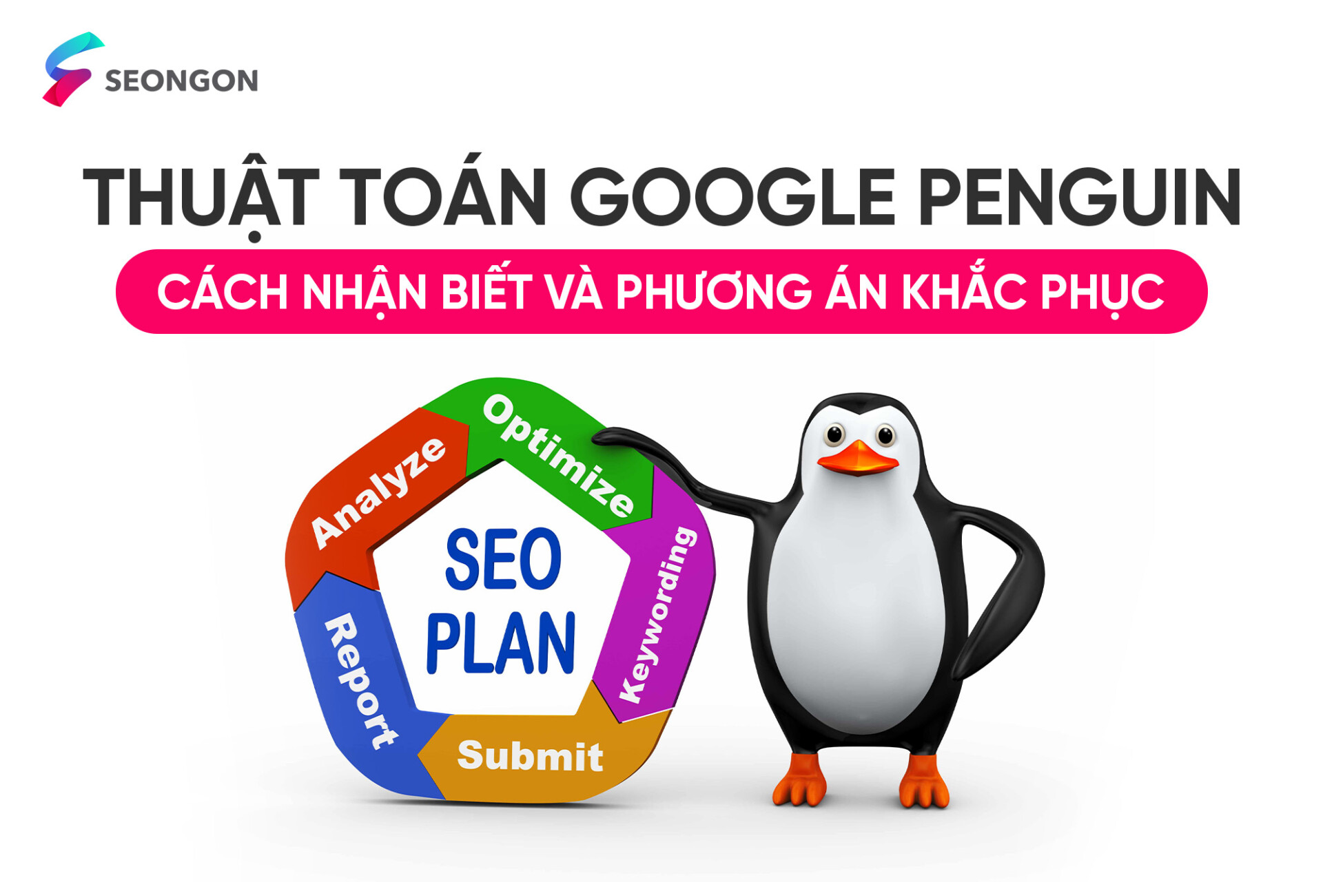 Google Penguin là gì? Cách phát hiện và khắc phục án phạt Google Penguin cho website