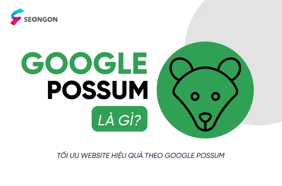 Google Possum là gì? Tối ưu website hiệu quả theo Google Possum, nâng cao thứ hạng