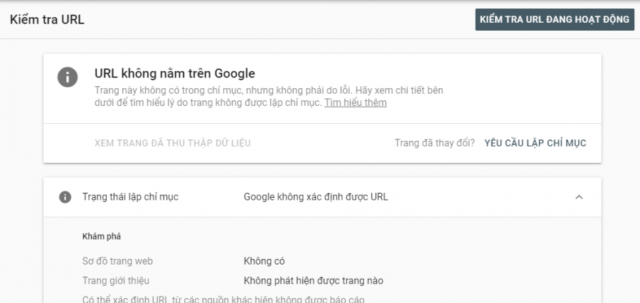 Kết quả hiển thị nếu URL của bạn chưa được Google index